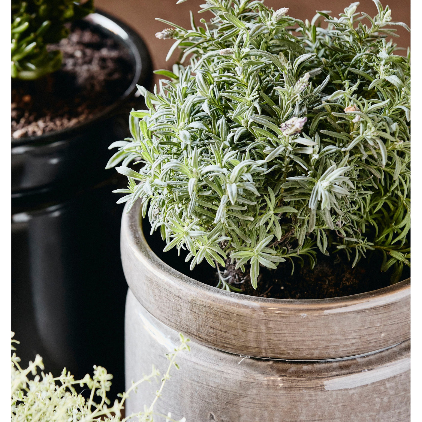 ISA-krukker i keramikk - ø25 cm - lysgrå Nordal INDOOR POT