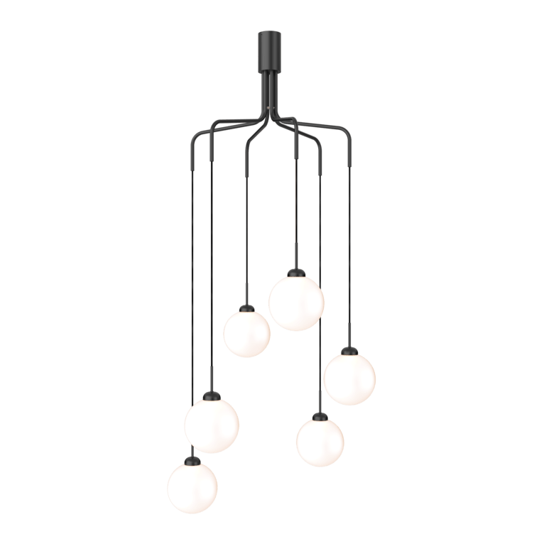 Apiales Cluster 6 Nuura Taklampe