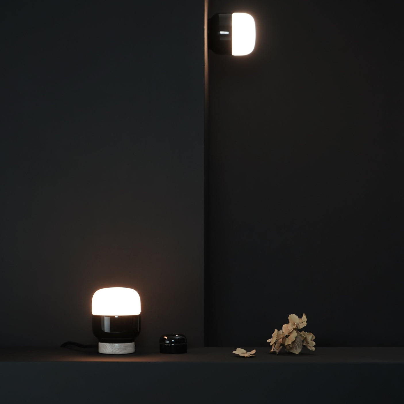 Ohm 100/100 Taklampe/Vegglampe LED IP44 Ifö Electric AB Vegglampe