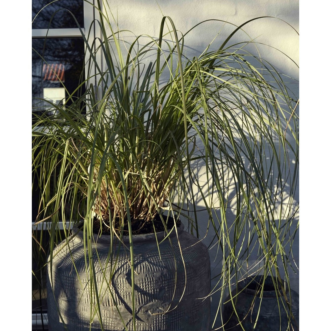 CEMA rustikk urtepotter - x-large - h56 cm - grå Nordal INDOOR POT