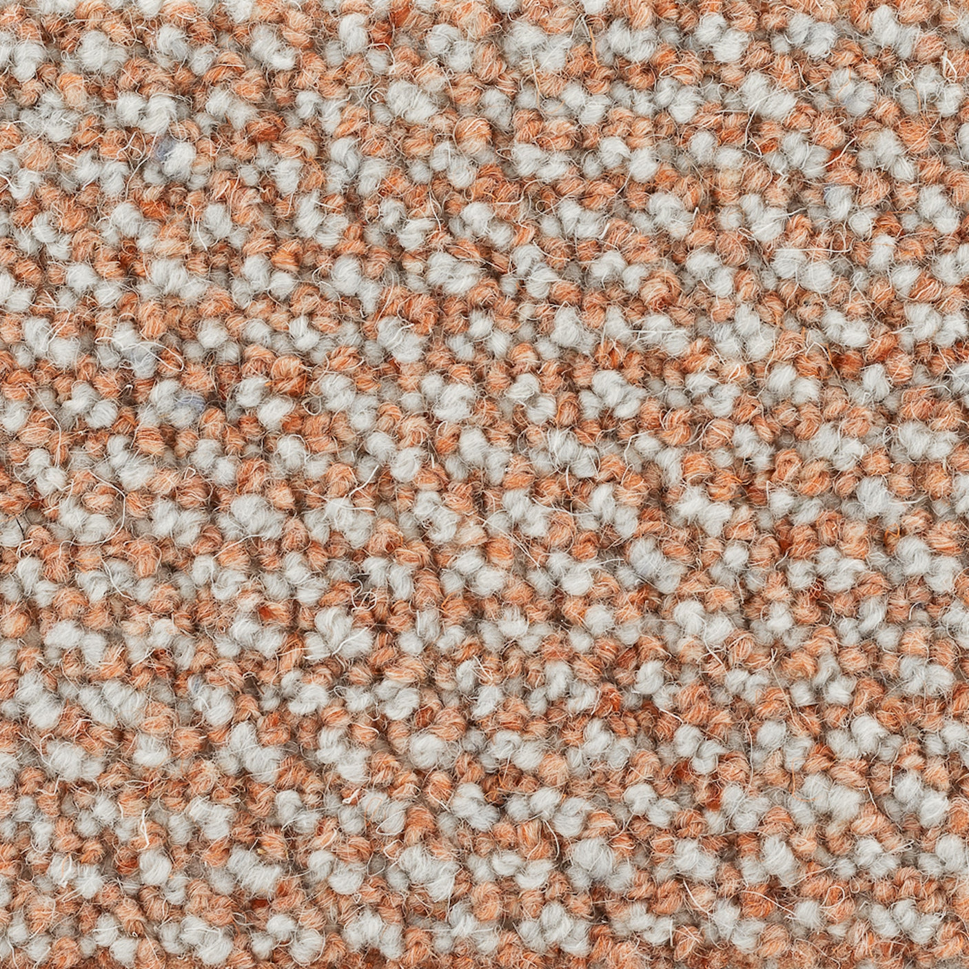 Poppy Wool Golvabia Teppe