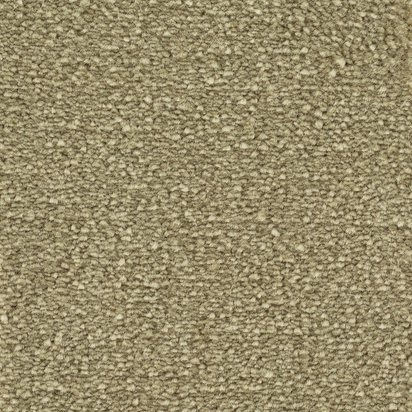 Avalon Golvabia Teppe