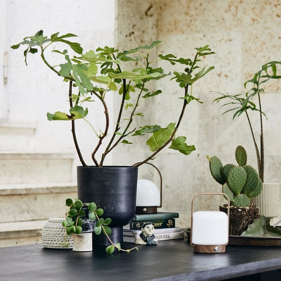 GALOA urtepotte, s - antrasitt Nordal INDOOR POT