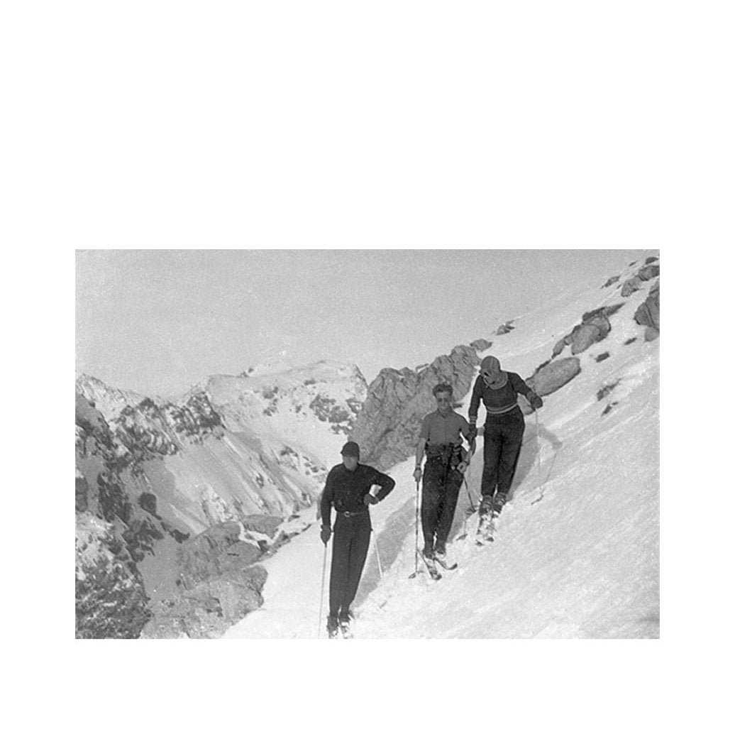 SKIING Artwood Bilde