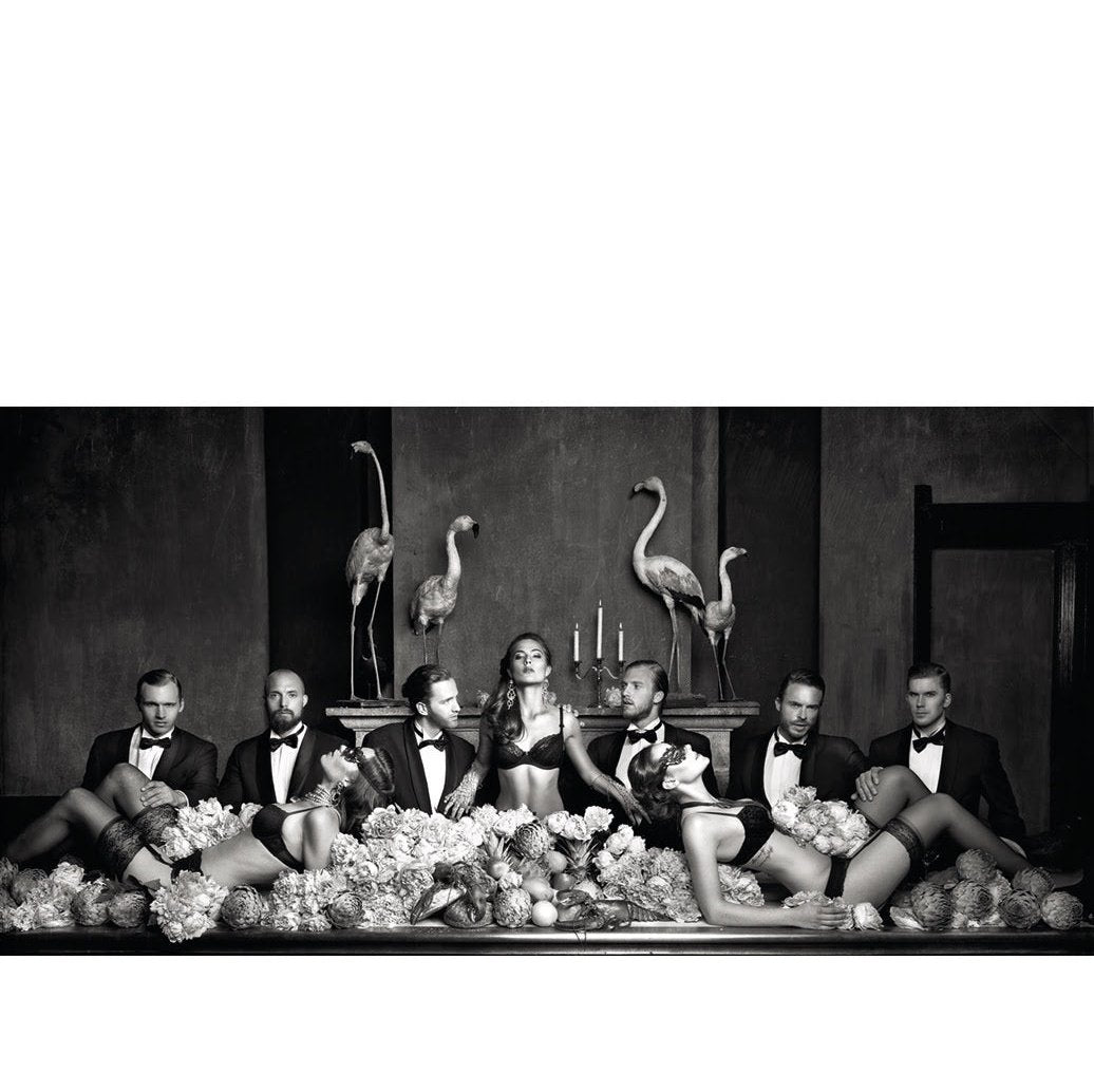 BEAUTIFUL DOMINANCE Artwood Bilde