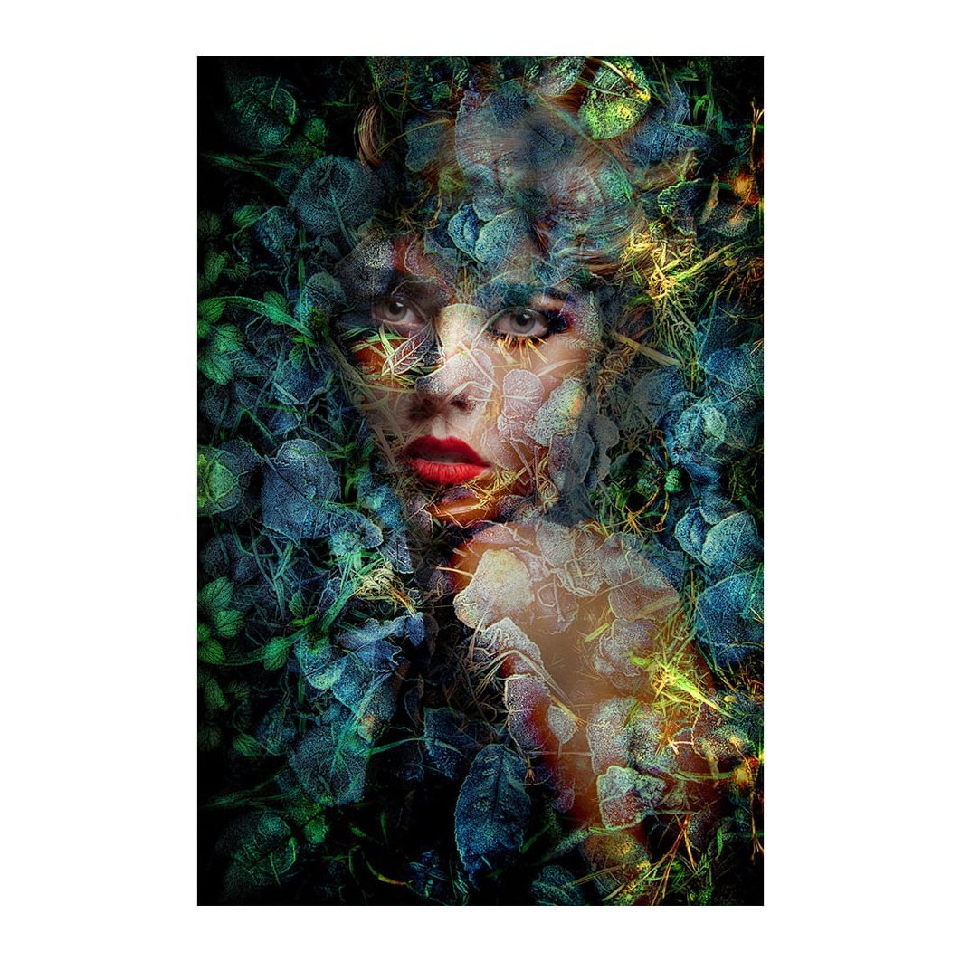 BLUE AUTUMN Artwood Bilde