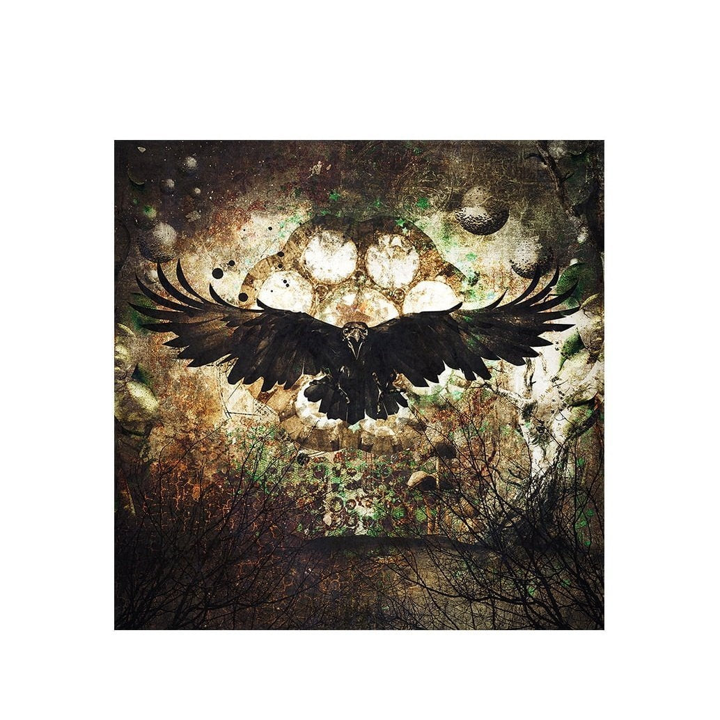 RAVEN Artwood Bilde