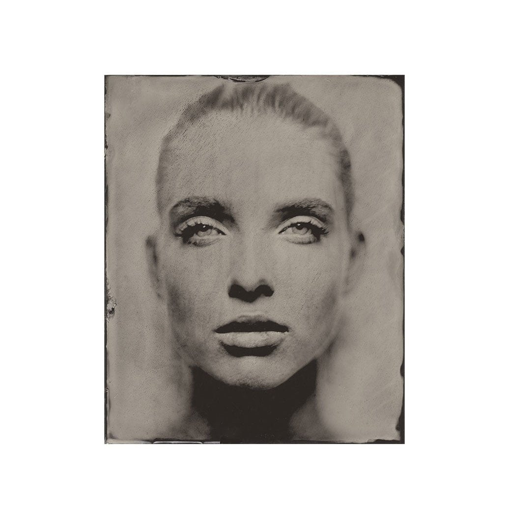 GAZING STILL Artwood Bilde