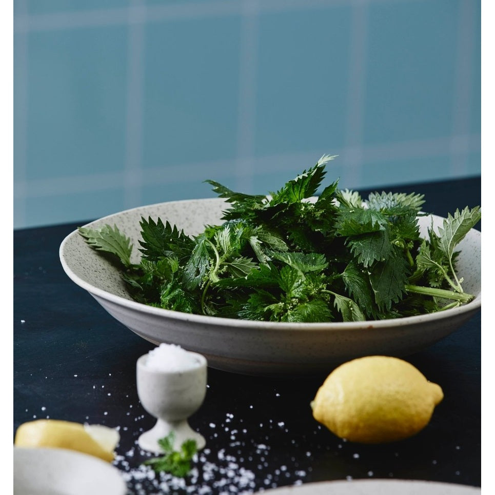 GRAINY salatkål i keramikk - ø34 cm - sand Nordal TABLEWARE