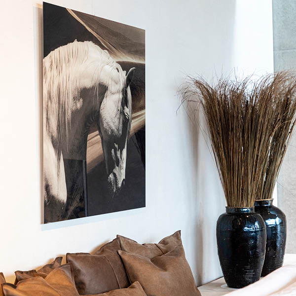 ARABIAN HORSE Artwood Bilde