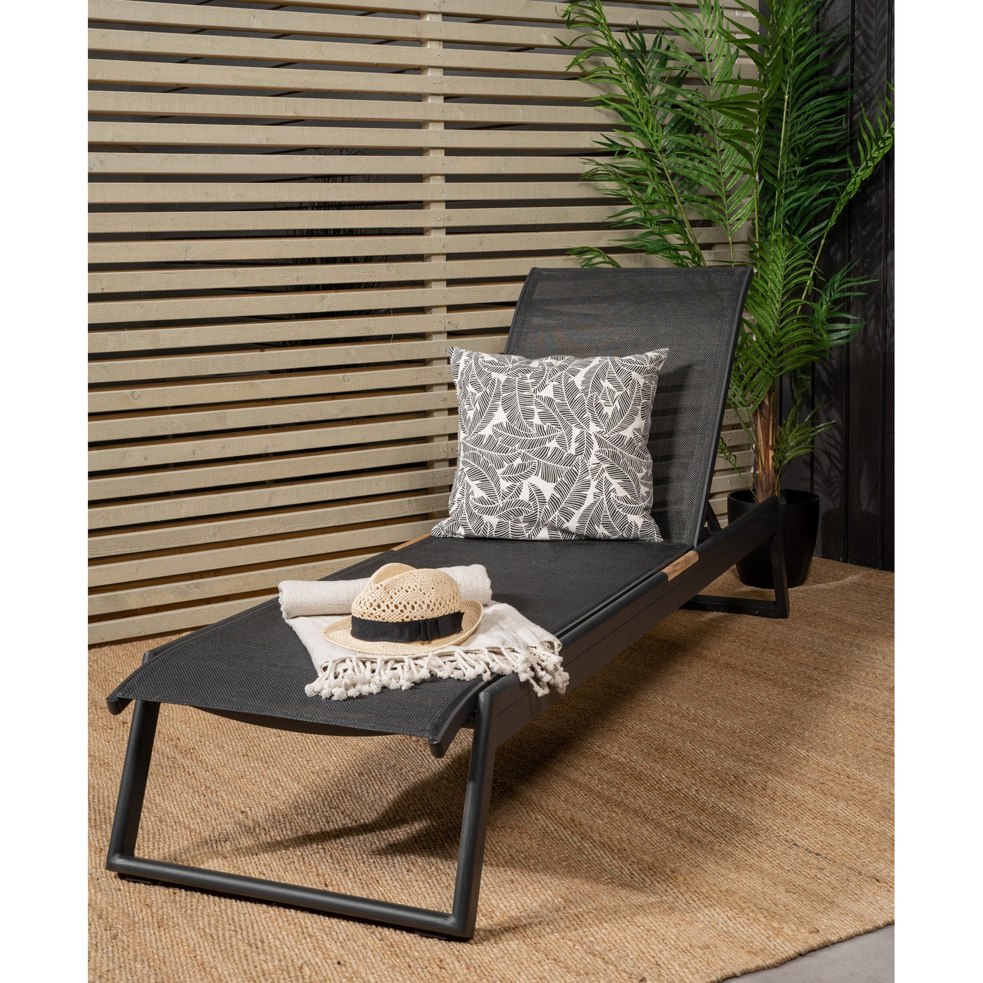 Mexico Solseng Venture Design Solseng