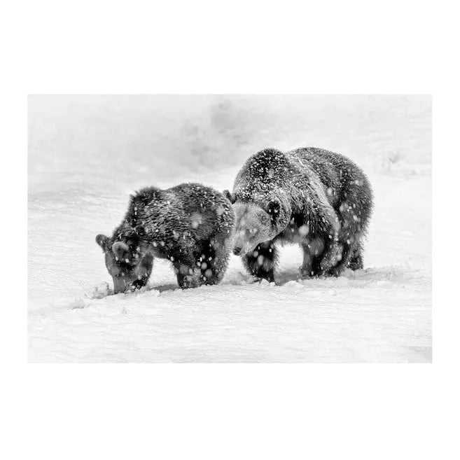 Glass picture bear with cub Homefactory Bilde