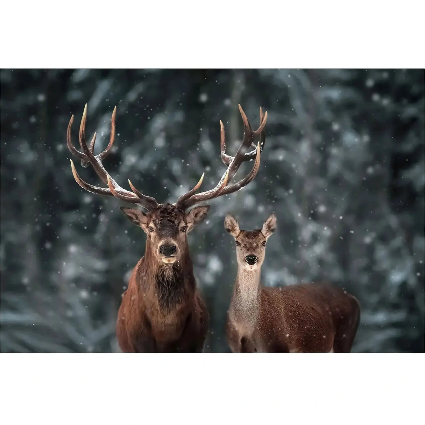 Glass picture Rein deer Homefactory Bilde