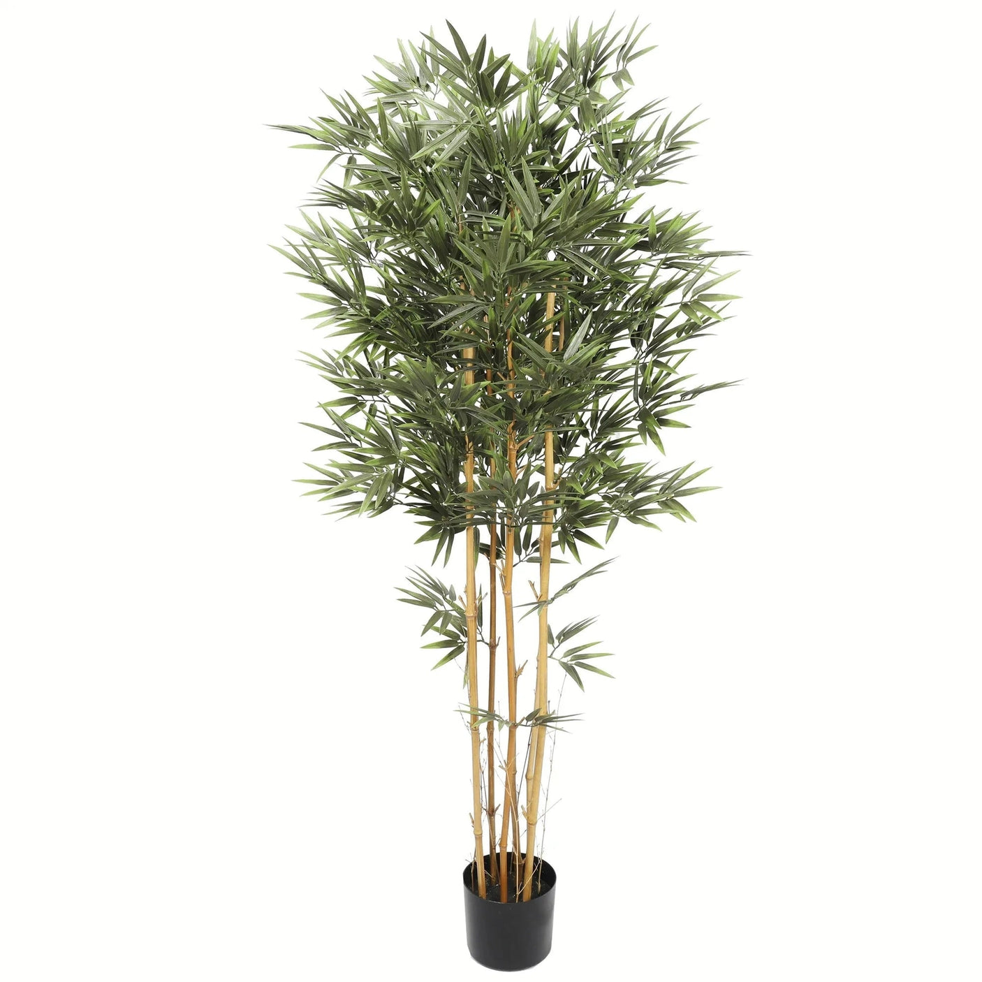 Premium Bamboo real trunk Homefactory Kunstig plante