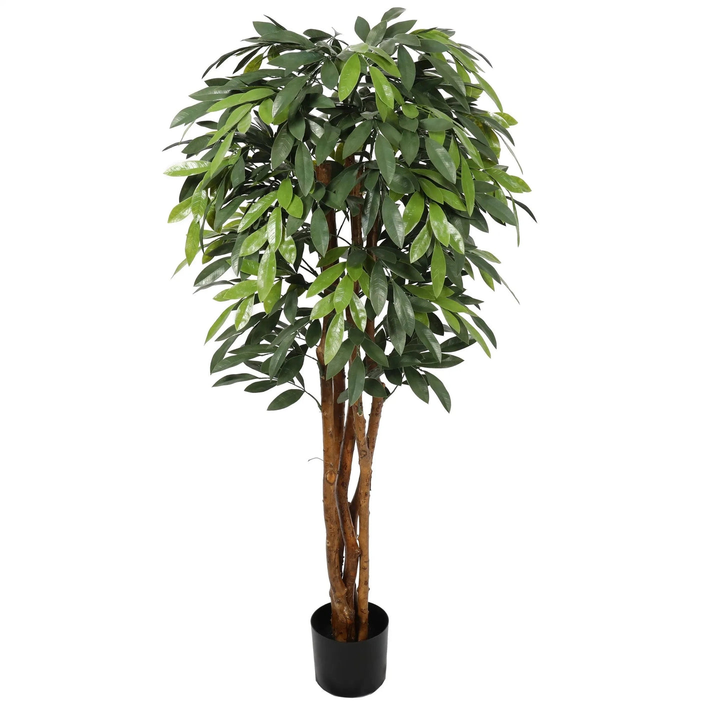 Premium Ficus Tree Homefactory Kunstig plante