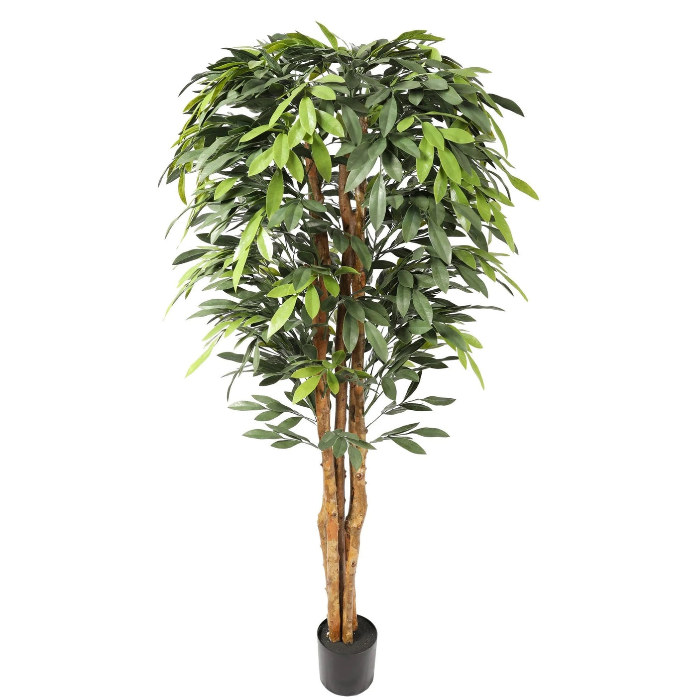 Premium Ficus Tree Homefactory Kunstig plante