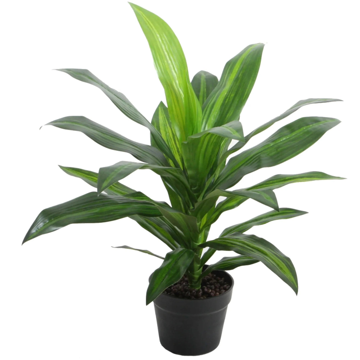 Premium Dracaena Tree Homefactory Kunstig plante