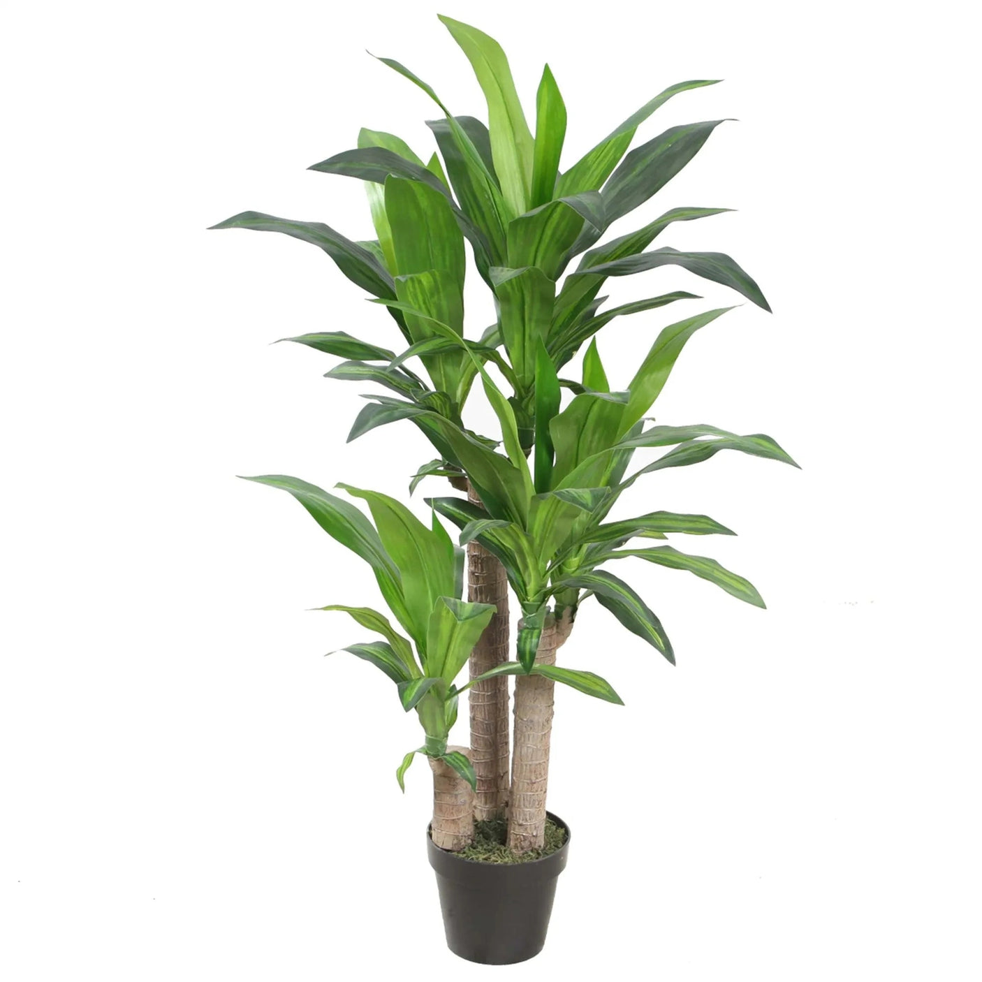 Premium Dracaena Tree Homefactory Kunstig plante