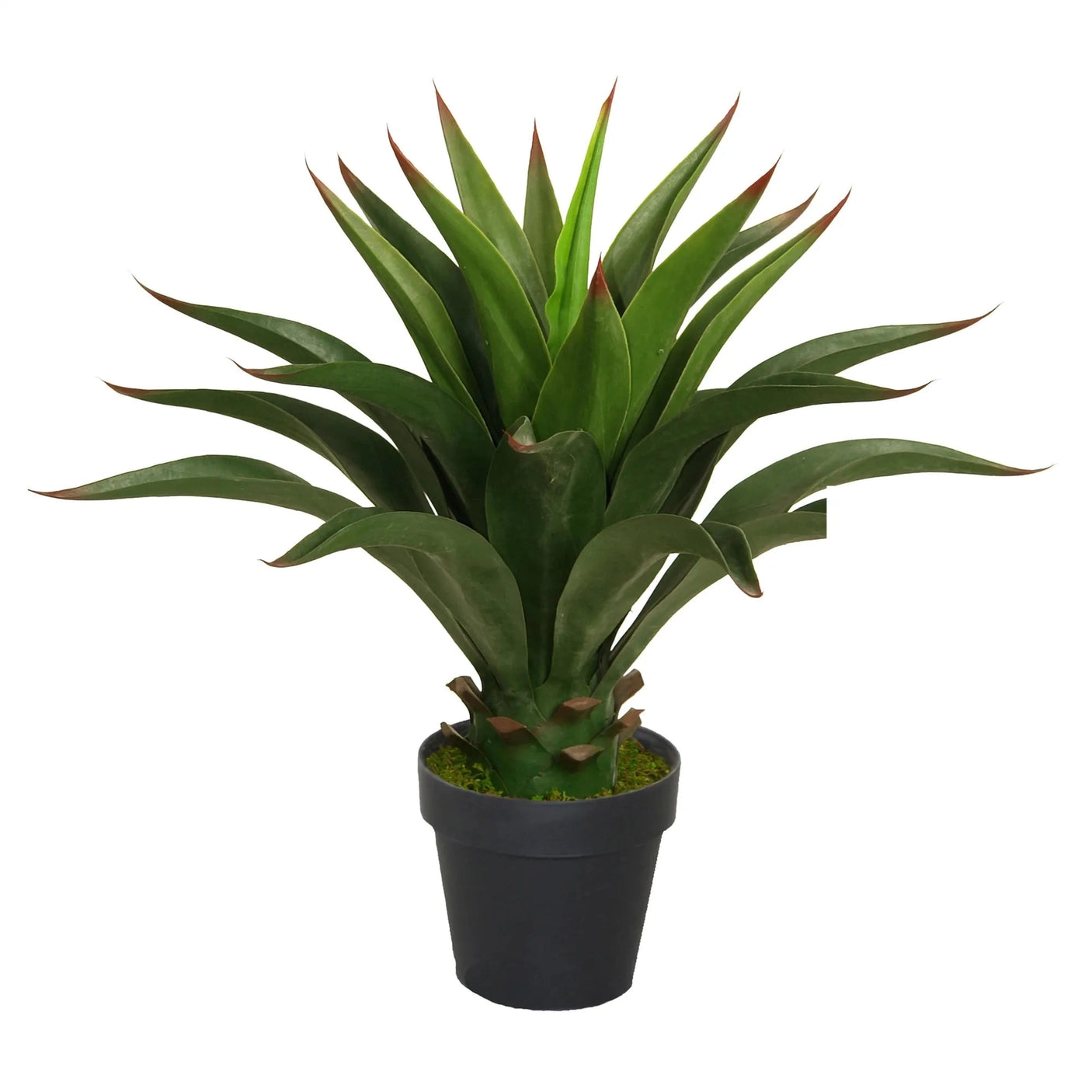 Premium Crown Agave Homefactory Kunstig plante