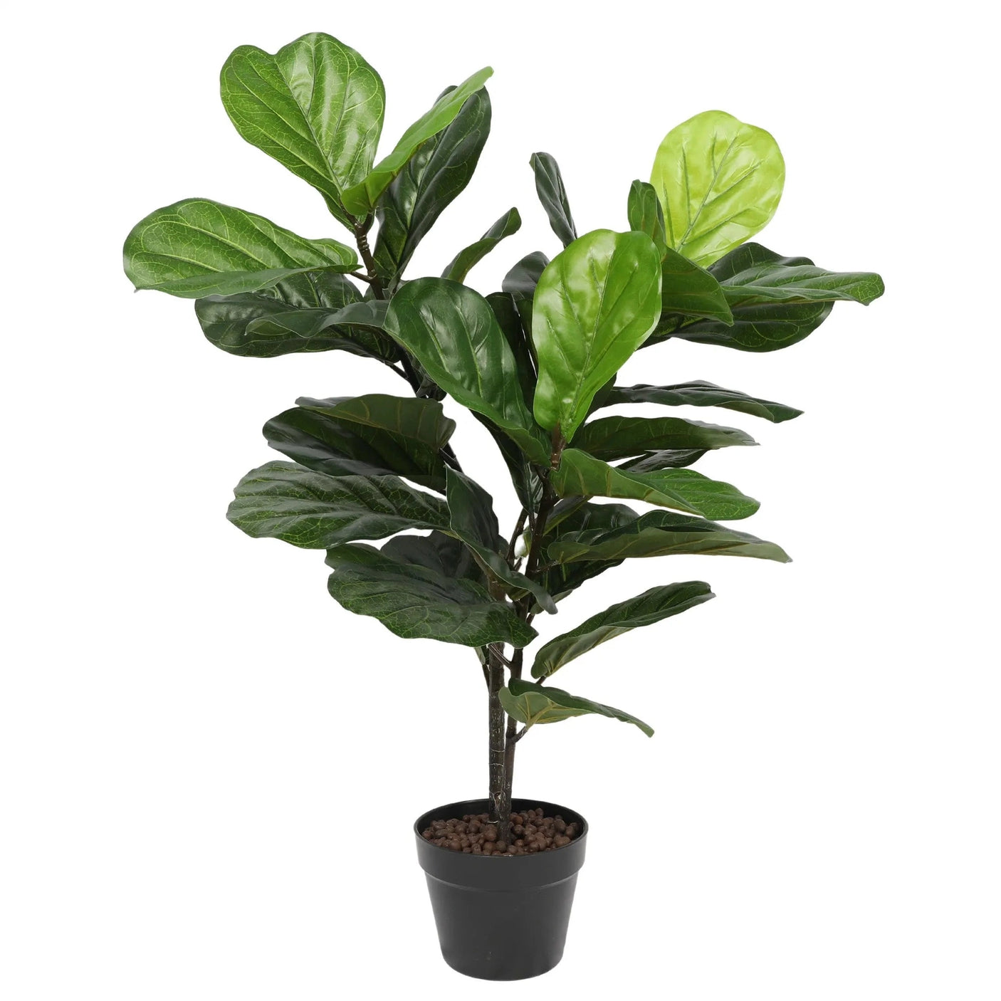 Fiddle Leaf Fig Tree Indoor 75cm Homefactory Kunstig plante