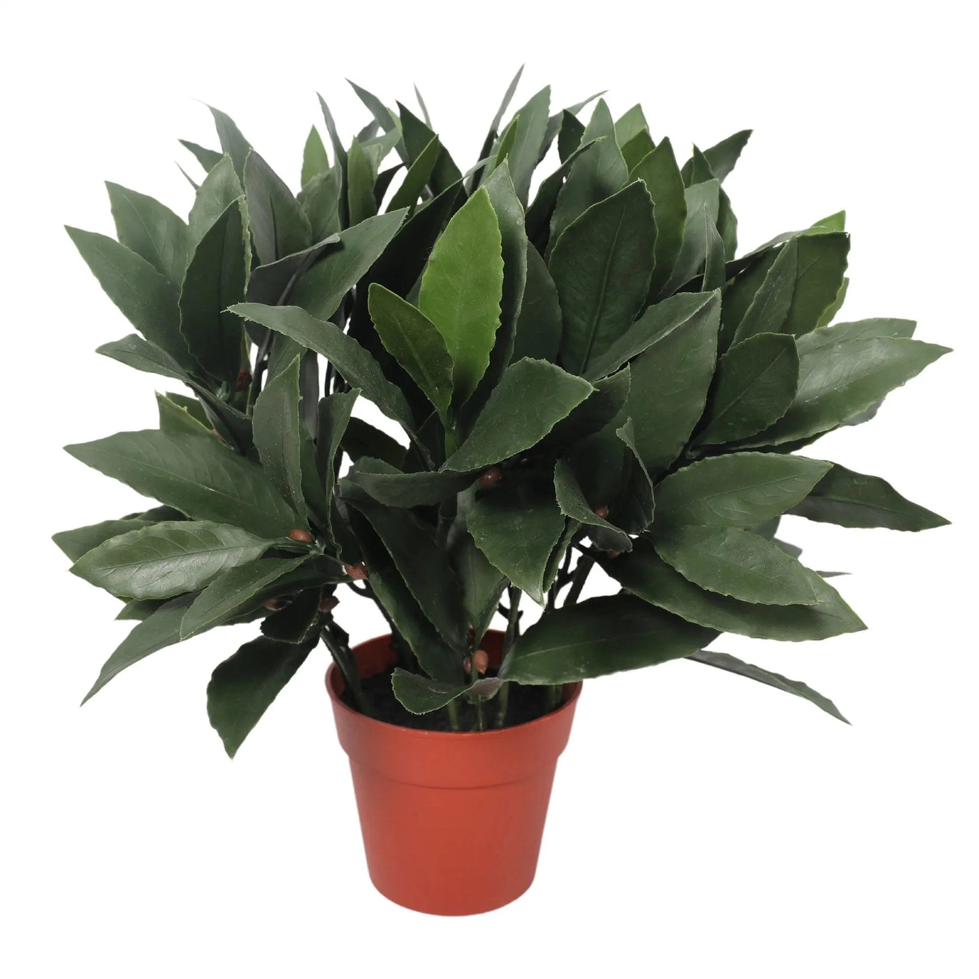 Bay Laurel Homefactory Kunstig plante