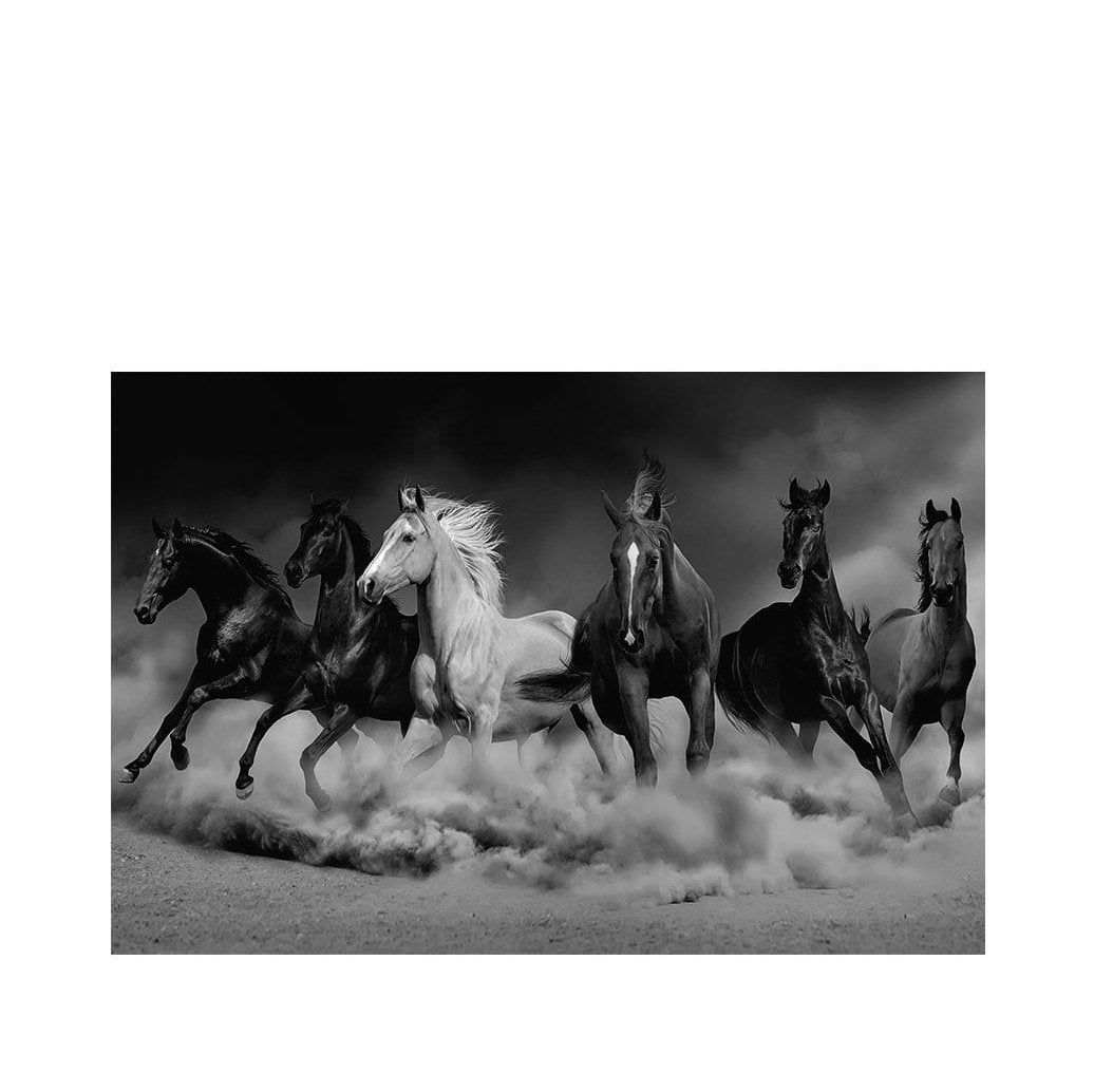 ROYAL FAMILY Artwood Bilde