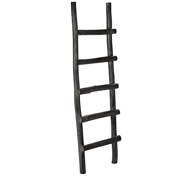 LADDER Trestige Artwood Kleshenger