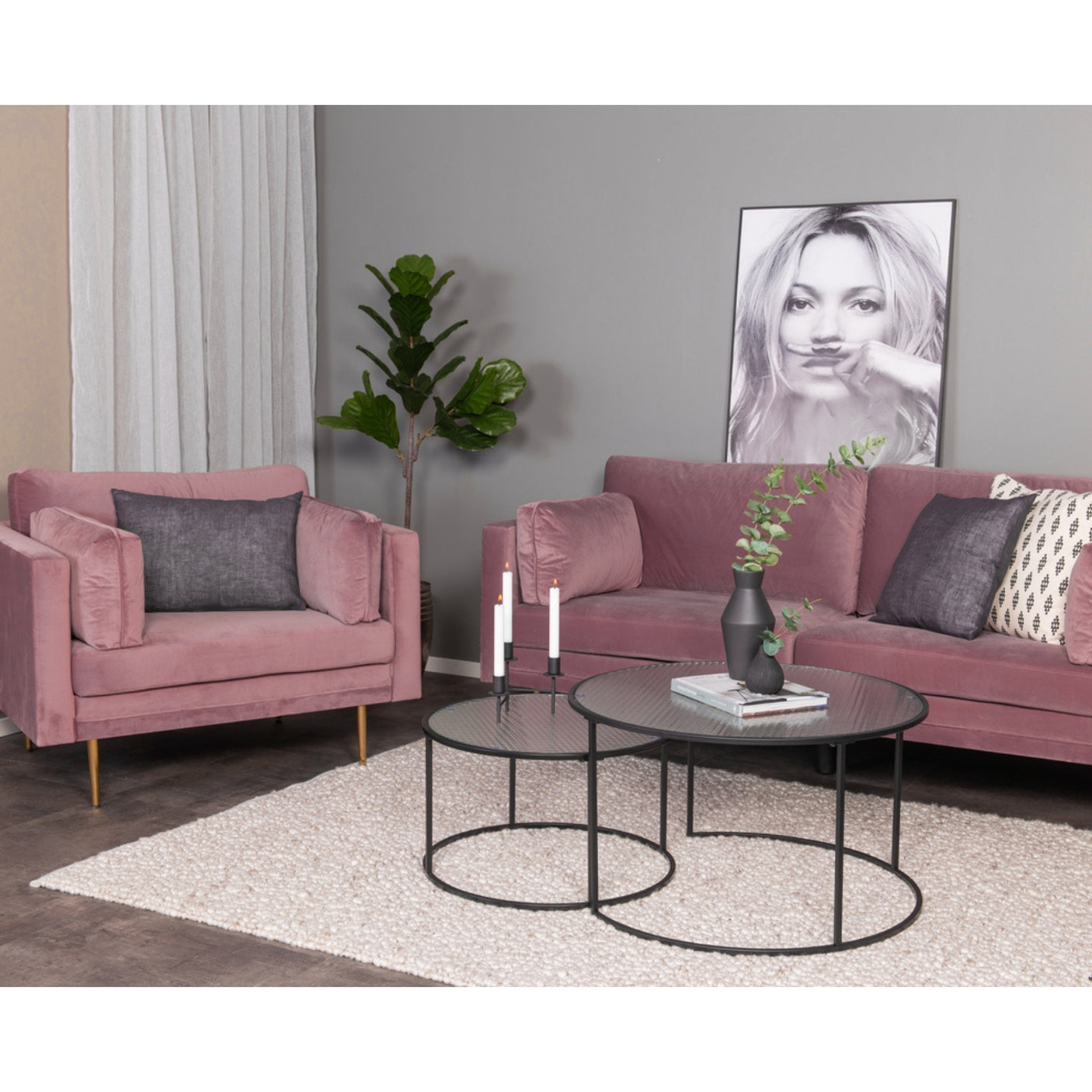 Boom Sofa Venture Design Sofa
