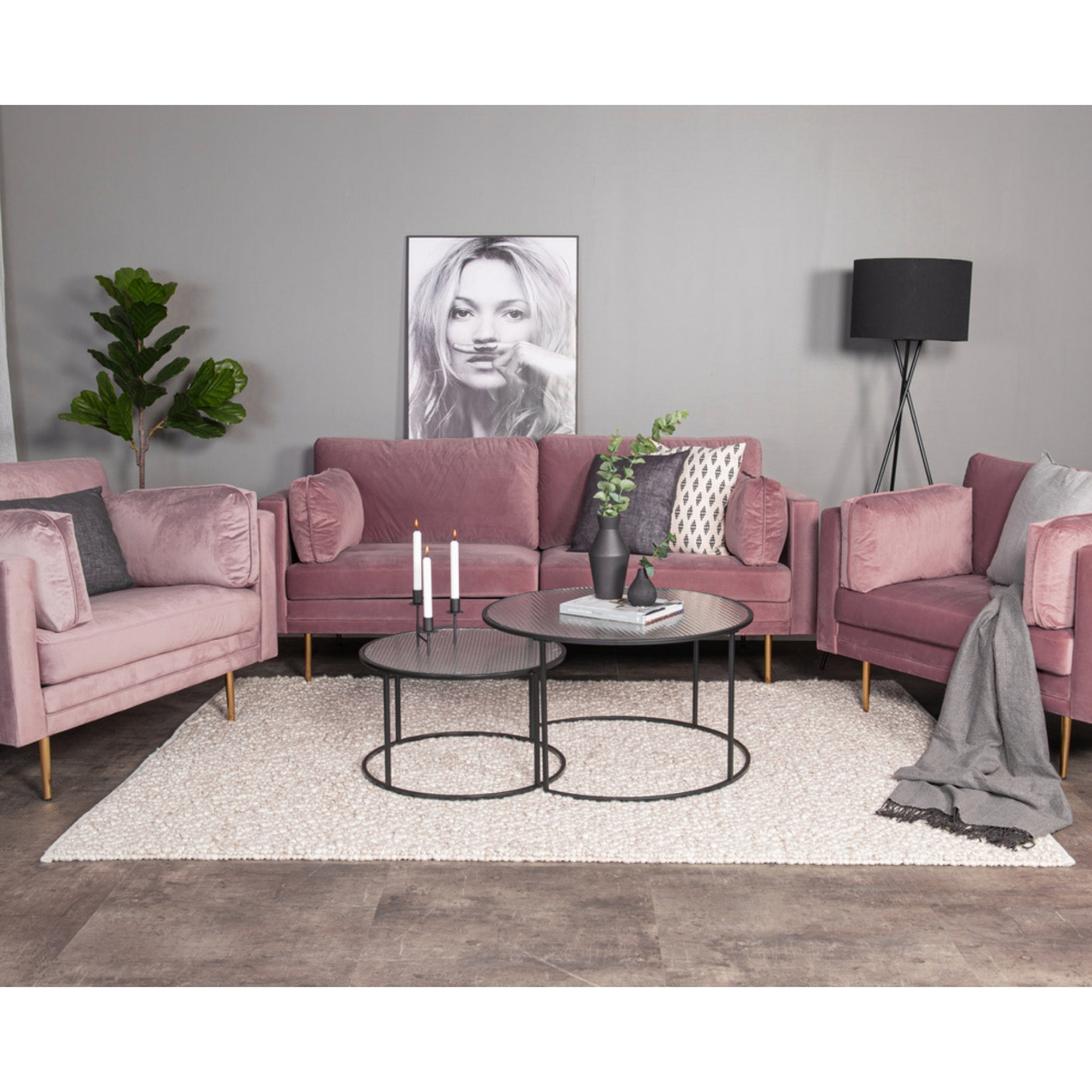 Boom Sofa Venture Design Sofa
