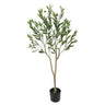 Olive Tree with Leaves