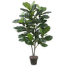 Fiddle Leaf Fig Tree Indoor 120cm