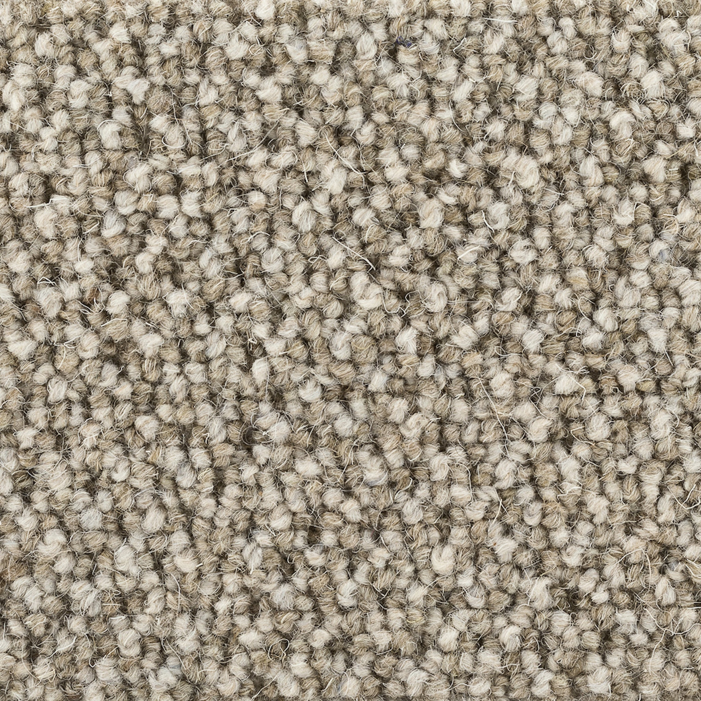 Poppy Wool Golvabia Teppe