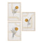 Madison ramme sett House Nordic Rammer