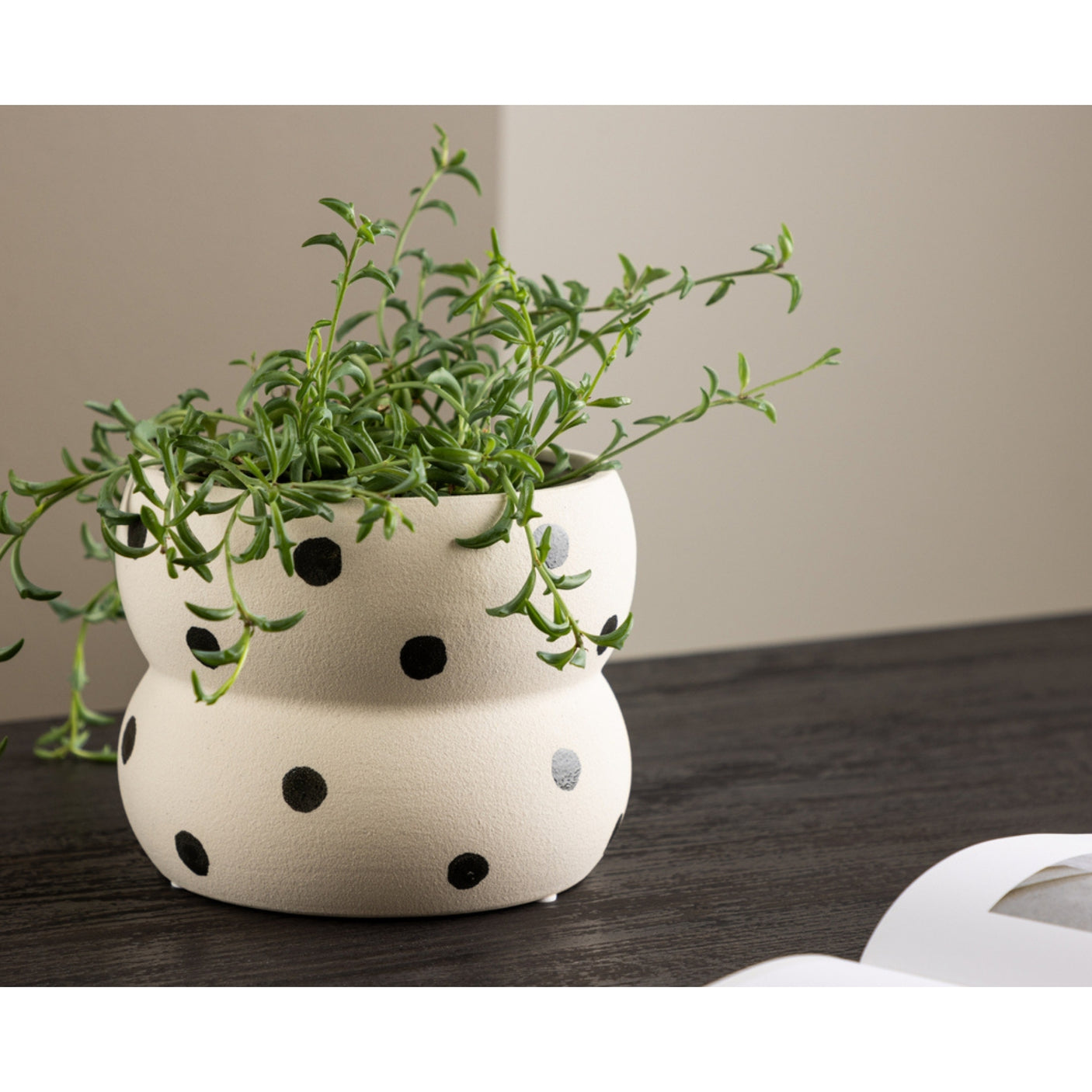 Dapne Kruka Venture Design Pynteartikler