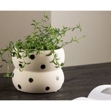 Dapne Kruka Venture Design Pynteartikler