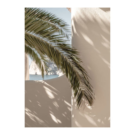 Palmleaf Poster 70x100 Venture Design Pynteartikler