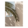 Palmleaf Poster 70x100 Venture Design Pynteartikler