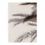 Shadow Poster 50x70 Venture Design Pynteartikler