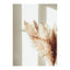 Pampas Poster 50x70 Venture Design Pynteartikler