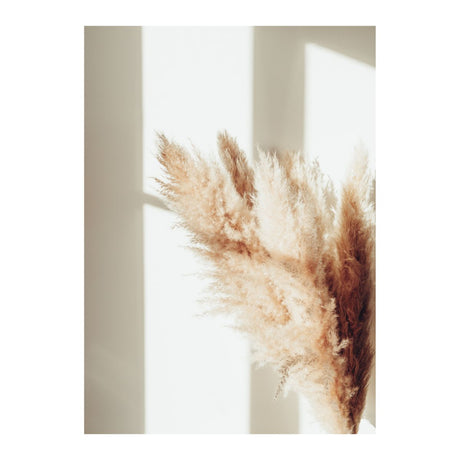Pampas Poster 70x100 Venture Design Pynteartikler