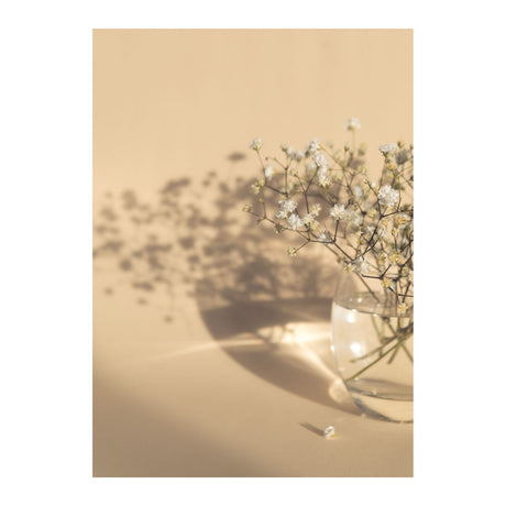 White Flowers Poster 21x30 Venture Design Pynteartikler