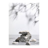Sandstones Poster 21x30 Venture Design Pynteartikler