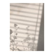 Flower Shadow Poster 21x30 Venture Design Pynteartikler