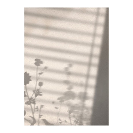 Flower Shadow Poster 21x30 Venture Design Pynteartikler