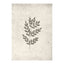 Spring leaf Poster 30x40 Venture Design Pynteartikler