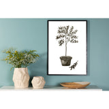 Olive Poster 21x30 Venture Design Pynteartikler