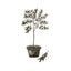 Olive Poster 30x40 Venture Design Pynteartikler