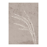 Seeds Poster 21x30 Venture Design Pynteartikler