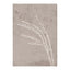Seeds Poster 30x40 Venture Design Pynteartikler