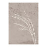 Seeds Poster 30x40 Venture Design Pynteartikler